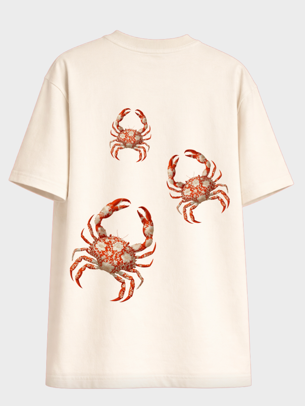 Crab Theory Oversized Tee